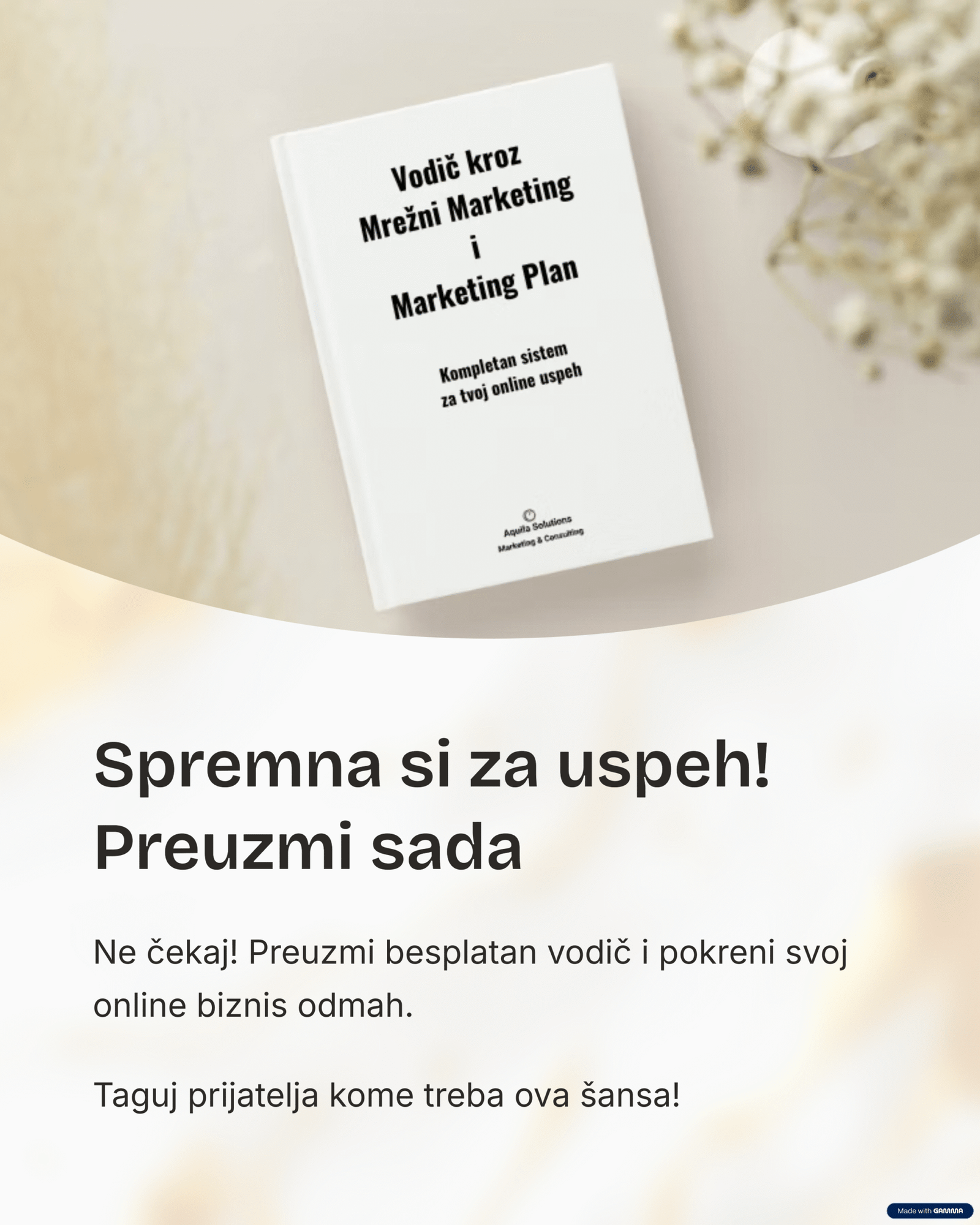 Vodič kroz Mrežni marketing i Marketing plan